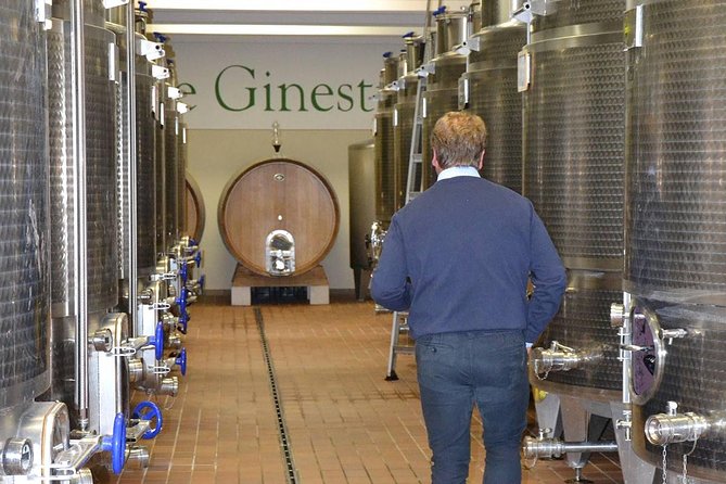 Wine and Food Tasting in the Vineyards in Lazise - Customer Reviews and Hosts Response