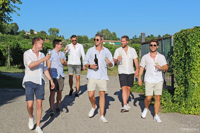 Wine and Food Tasting in the Vineyards in Lazise - Additional Information and Booking Details