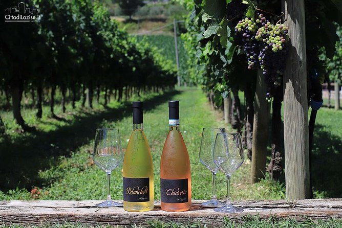 Wine and Food Tasting in the Vineyards in Lazise - Common Questions