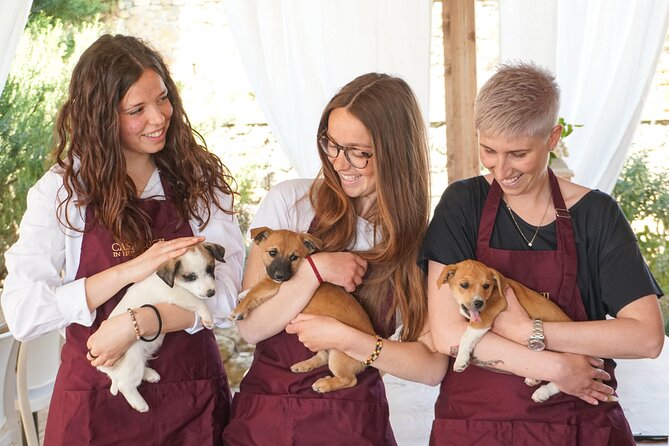 Wine and Food Tasting on an Organic Family Farm. - Experience Details and Highlights