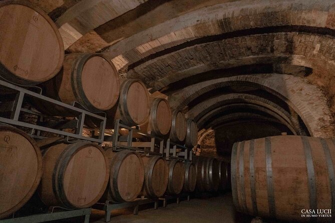 Wine and Food Tasting on an Organic Family Farm. - Accessibility and Recommendations