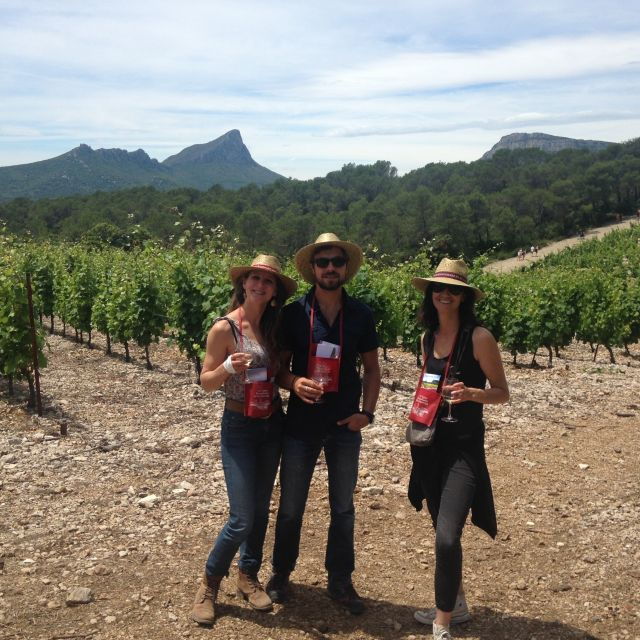 Wine and Food Tour to Pic Saint-Loup - Discovering a Medieval Village