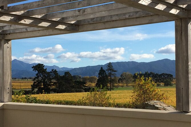 Wine and Gourmet Picnic Experience of Marlborough - Wine Tasting Options