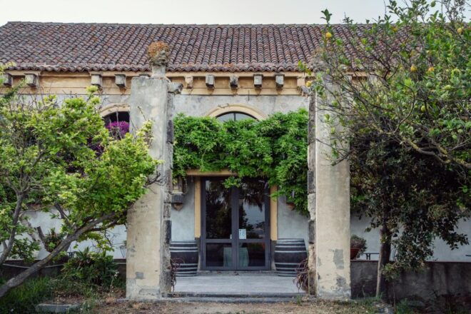 Wine and Local Delicacies Tasting at a Sicilian Palmento - Tasting Inclusions