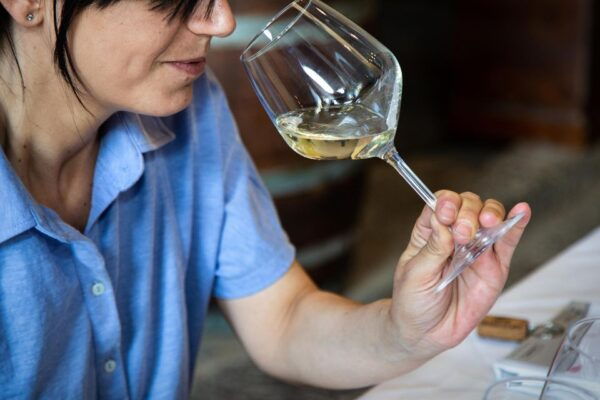Wine and Local Delicacies Tasting at a Sicilian Palmento - Directions for Participation