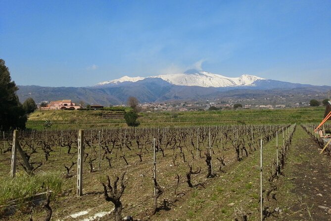 Wine and Lunch Tour - Tour Itinerary