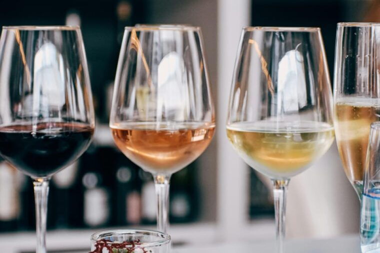 Wine and Oil Tasting in Madrid: Spains Best Wines and Tapas - Highlights