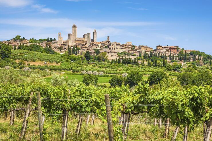 Wine and Oil Tasting With Tuscan Appetizers - Delight in Olive Oil Sampling