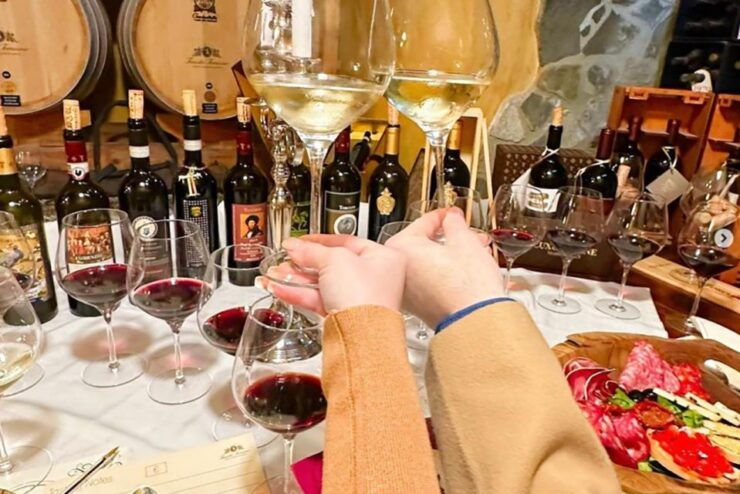 Wine and Oil Tasting With Tuscan Appetizers - Experience Highlights