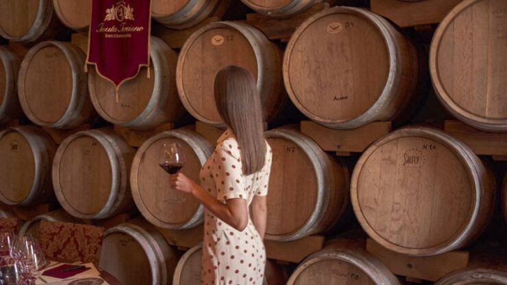 Wine and Oil Tasting With Tuscan Appetizers - Highlights of Tuscan Wines
