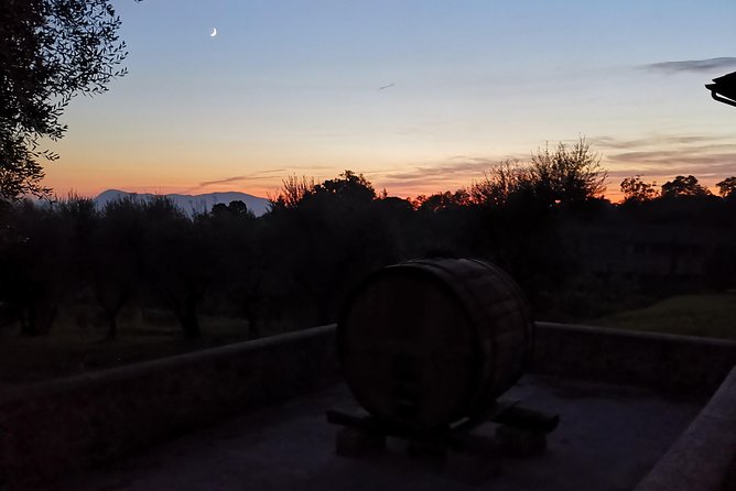 Wine and Olive Oil Tasting & Farm Tour - Additional Information and Recommendations