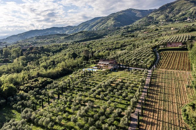 Wine and Olive Oil Tasting & Farm Tour - Cancellation Policy