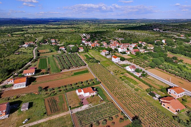 Wine and Olive Oil Tasting in RažNjevićA Dvori A.D. 1307 - Price and Reviews