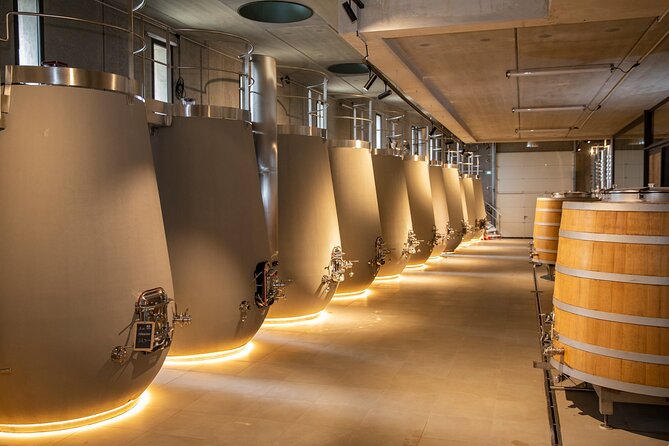 Wine and Olive Oil Tour in Les Baux De Provence and Saint Rémy - Wine Tasting Experience