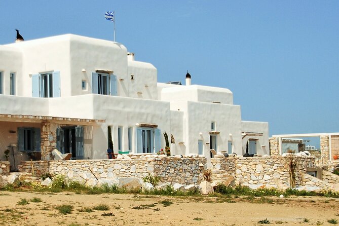 Wine and Olives Tasting in Private Beach View Villa Paros - Experience and Activities