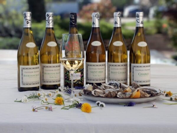 Wine and Oyster Tasting at Chablis - Questions You May Have