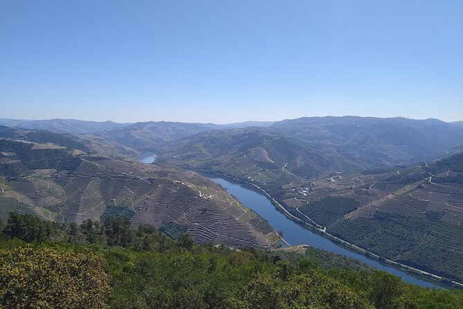 Wine and Wonders: A Tour of the Best of Vinho Verde and Douro - Good To Know