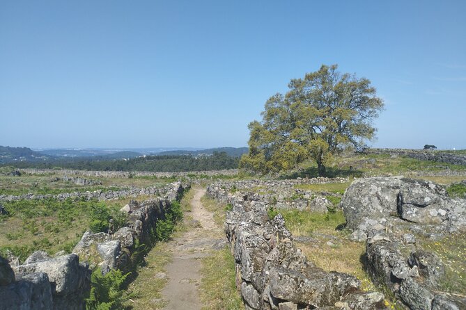 Wine and Wonders: A Tour of the Best of Vinho Verde and Douro - Douro Valley: Unveiling the Iconic Vineyards