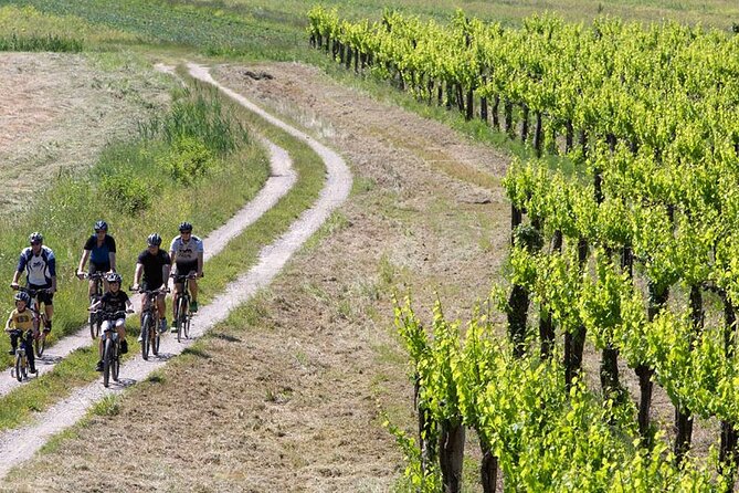Wine & Bike Half Day Tour In The Vineyards Of Istria - Tour Details