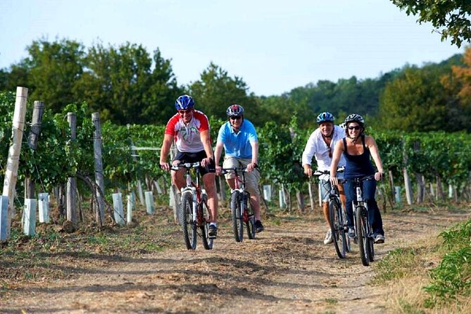 Wine & Bike Half Day Tour In The Vineyards Of Istria - Directions