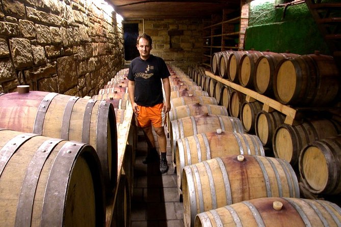 Wine & Bike Half Day Tour In The Vineyards Of Istria - Booking Information
