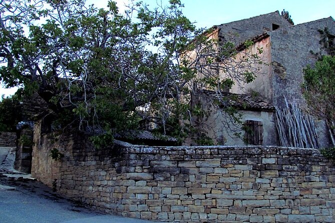 Wine & Bike Half Day Tour In The Vineyards Of Istria - The Sum Up