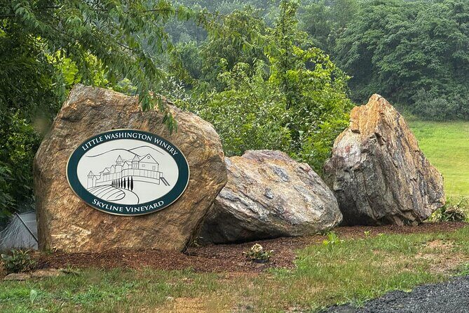 Wine Bootcamp - Led by our winemaker - Good To Know