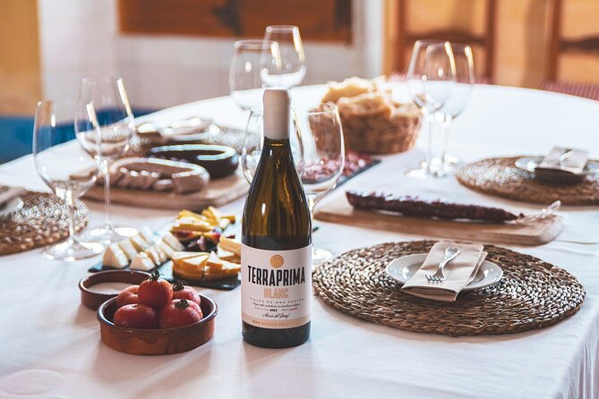Wine & Cava Tour With Tasting From Barcelona - Summary/Overview