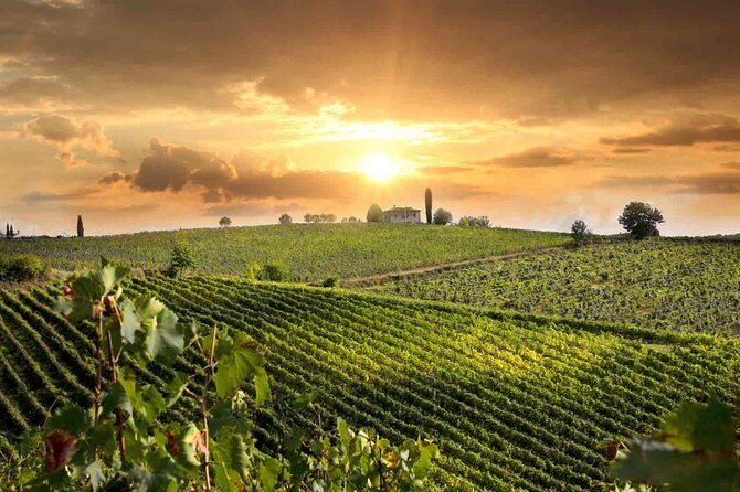 Wine Cheese and EVO Oil Tastings Southern Tuscany Full Day From Rome - Good To Know