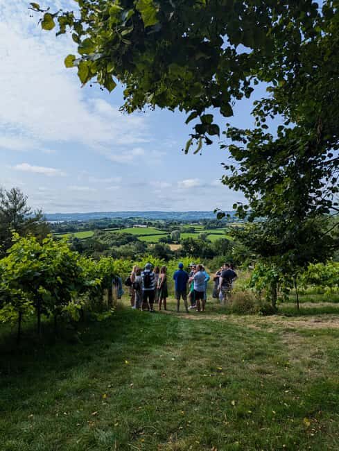 Wine & Cheese in the Somerset Valleys - with Michelin lunch - Exploring the Somerset Valleys: A Food and Wine Tour That Truly Delivers