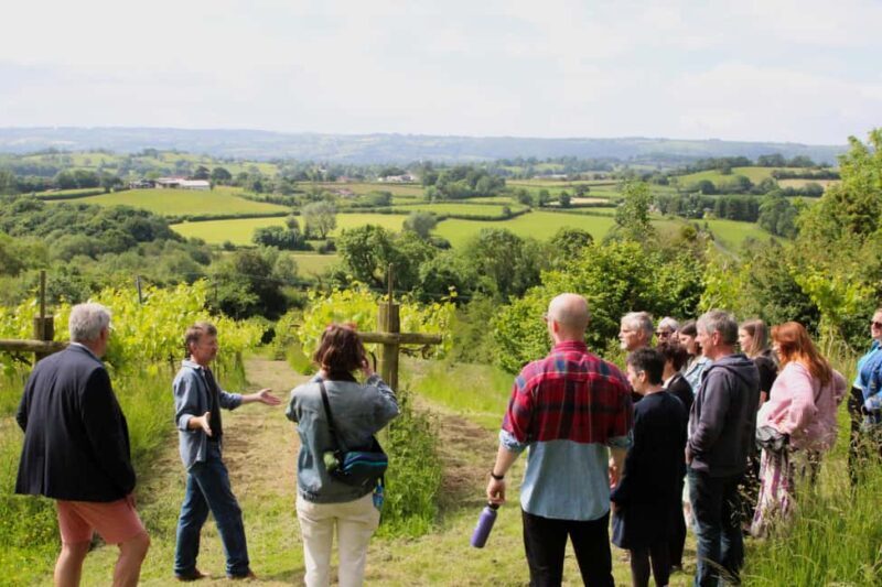 Wine & Cheese in the Somerset Valleys - with Michelin lunch - Why This Tour Stands Out