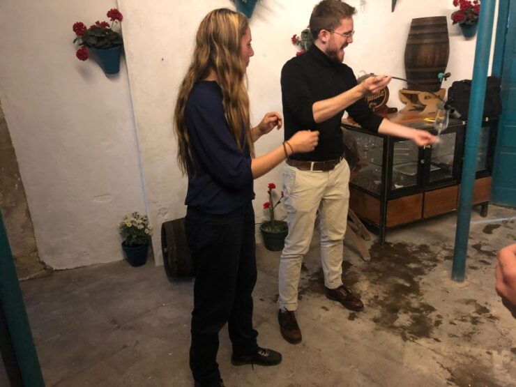 Wine & Cheese Tasting - Wine & Cheese Tasting Experience