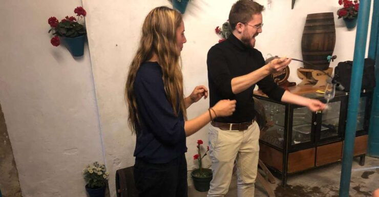 Wine & Cheese Tasting - Expert-Led Wine Education