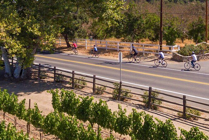 Wine Country Farm to Table Bike Tour w/Lunch - Practical Details and What You Should Know