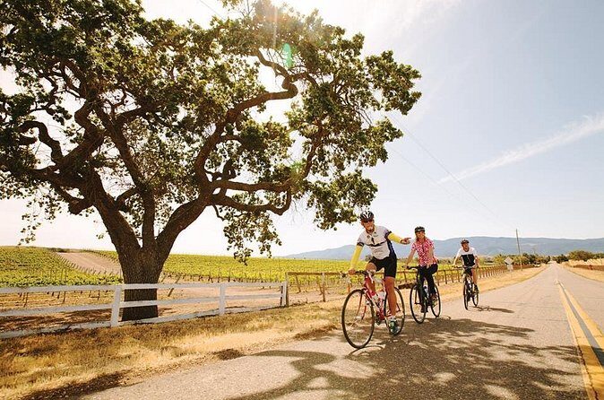 Wine Country Farm to Table Bike Tour w/Lunch - FAQ