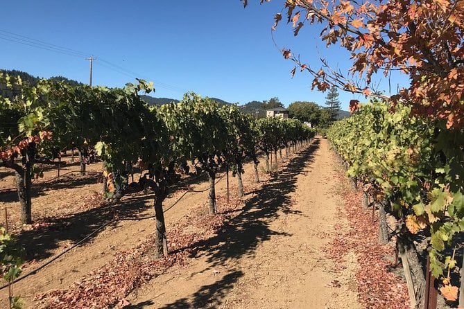 Wine Country Small-Group Tour From San Francisco With Tastings - Tour Guide Appreciation and Additional Feedback