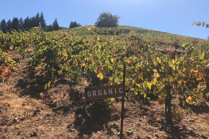 Wine Country Small-Group Tour From San Francisco With Tastings - Common Questions