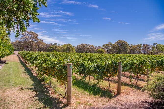 Wine, Craft Beer & Restaurant Lunch (Italian-A'la Carte). - Winery Stops: More Than Just Tasting