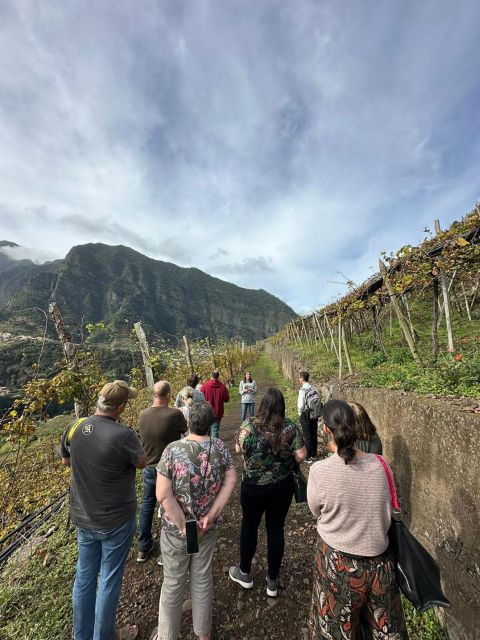 Wine Day Tour & Lunch in the Vineyard - Tour Details