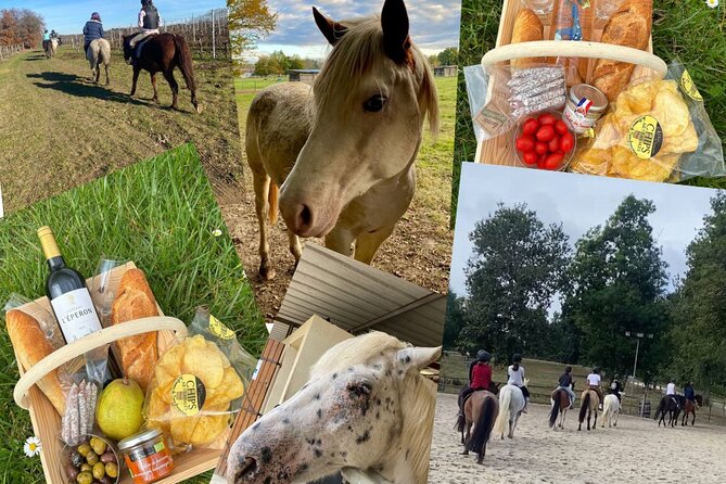 Wine Degustation, Visit and Masterclass From Vérac - Cancellation Policy