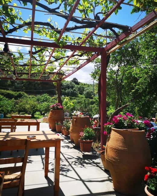 Wine, Dine & Divine: A Cretan Odyssey in Chania - Good To Know