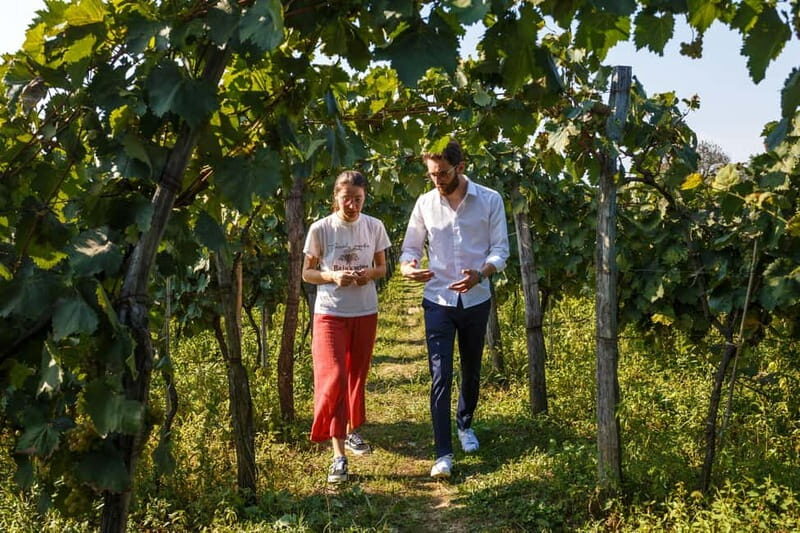 Wine & Dine group tour from Kutaisi - A Closer Look at the Tour Experience