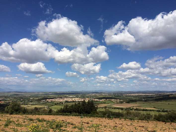 Wine Experience Around Cagliari - Good To Know
