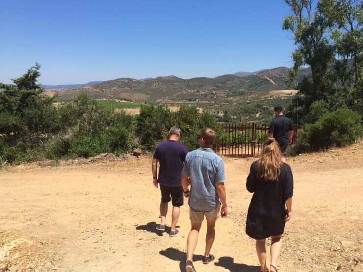 Wine Experience Around Cagliari - Pricing Details