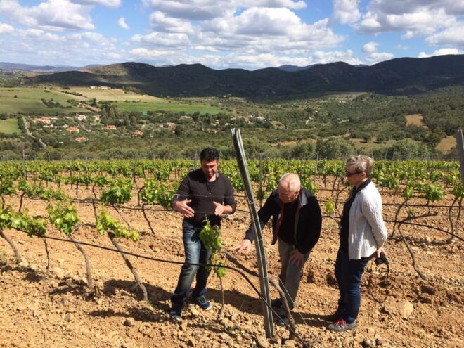 Wine Experience Around Cagliari - Included Activities