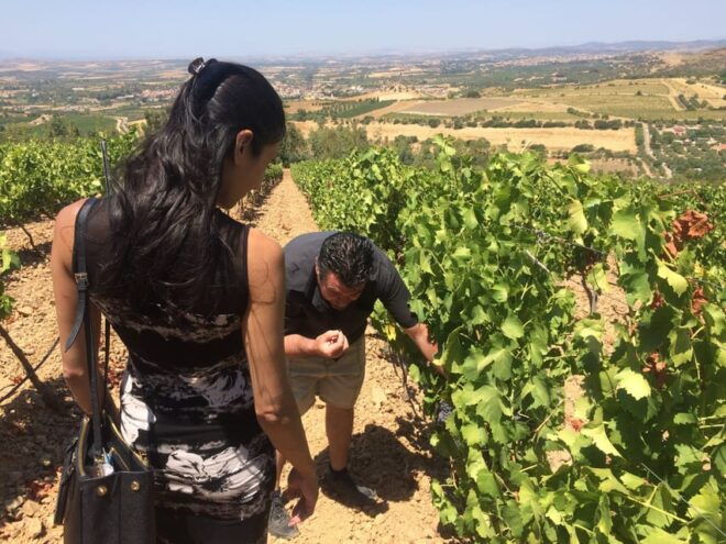 Wine Experience Around Cagliari - Customer Feedback