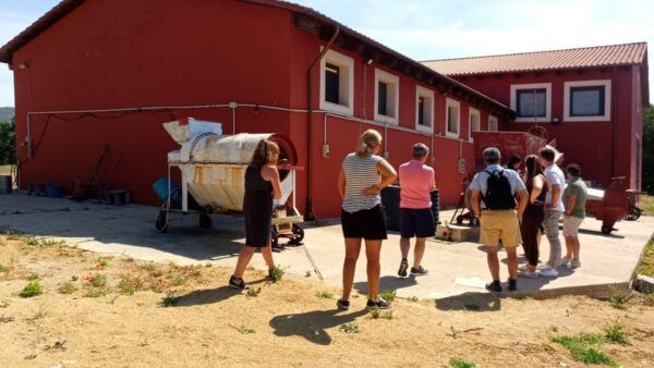 Wine Experience Around Cagliari - Important Tips