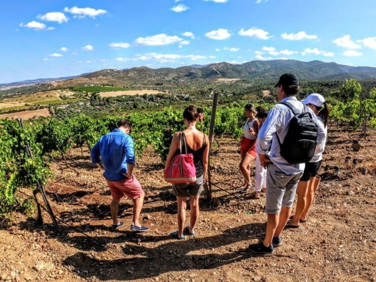 Wine Experience Around Cagliari - Experience Highlights