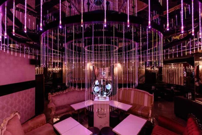 Wine Experience at a Host Club - Wine Tasting Highlights