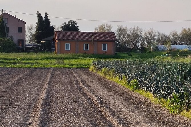 Wine Experience at IsolaLeVignole and Murano Glassworks - Directions to Meeting Point